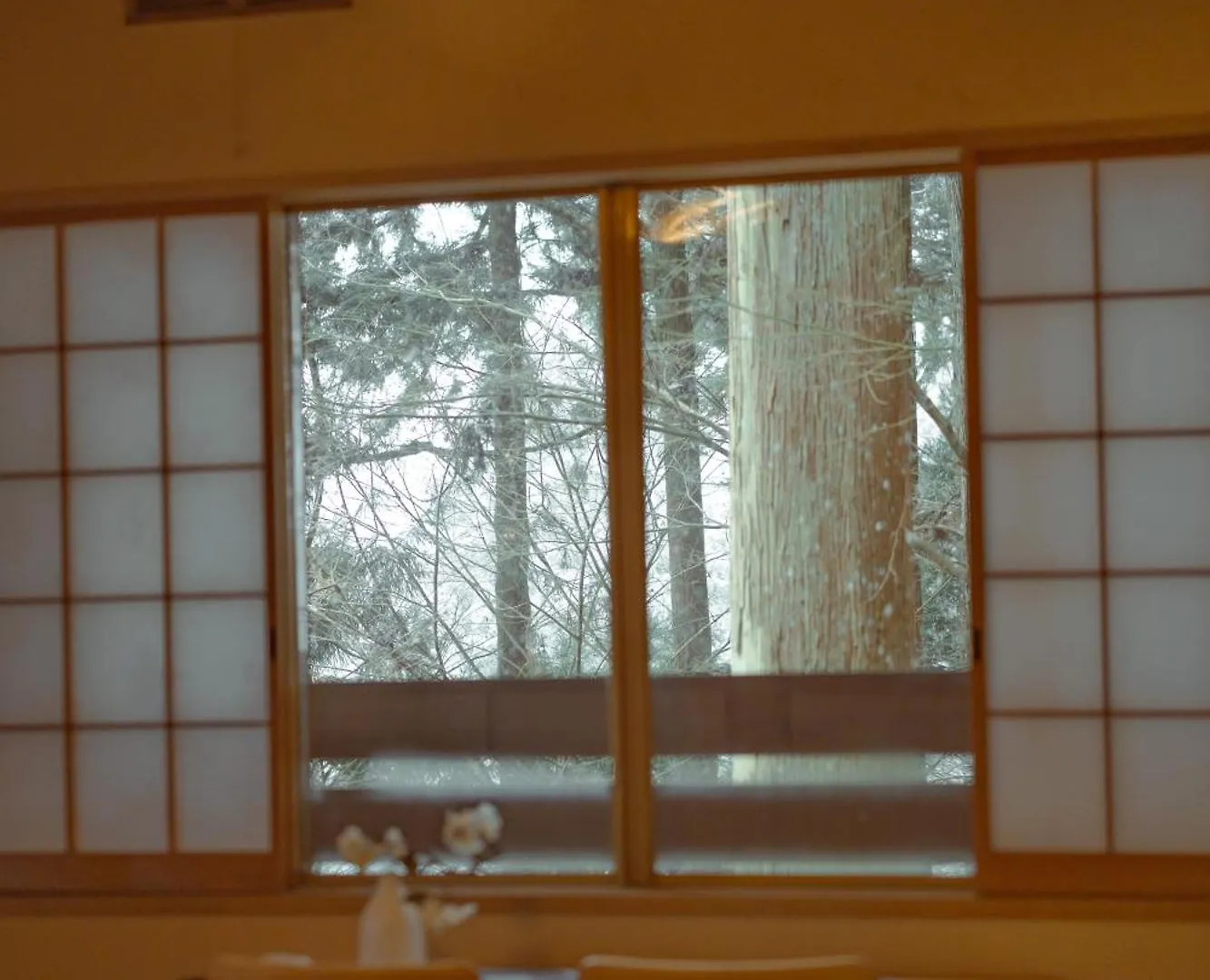 Apartment 準天然光明石溫泉キャビン アウトドアbbqタイム 映画の夜 邂逅 Ashinoyu Japan